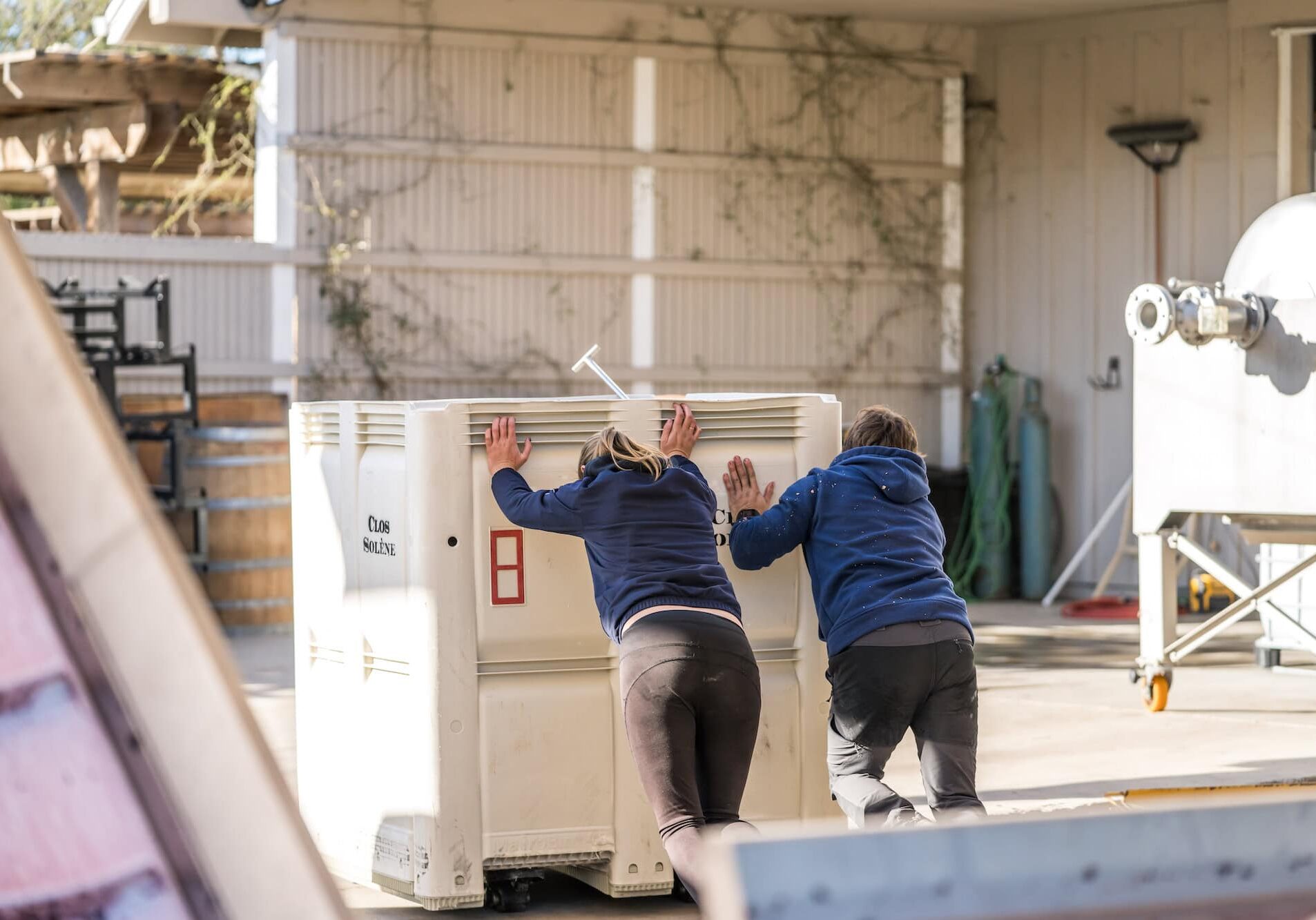 Production team pushing around vats of grapes during harvest
